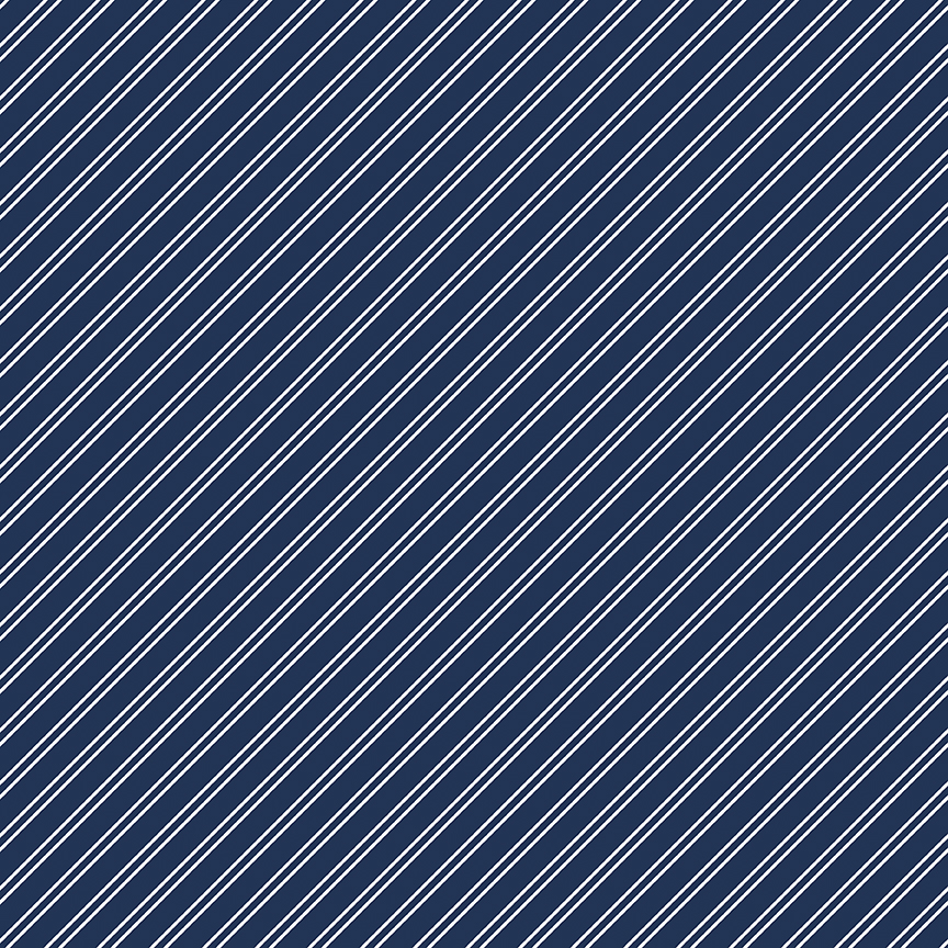 Between the Pages Stripes Navy