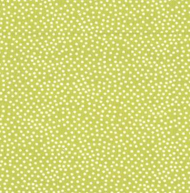 Garden Pindot Fern From Michael Miller Fabrics