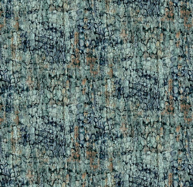 Lone Wolf Bark Texture Blue by Deborah Edwards and Melanie Samra for Northcott Fabrics