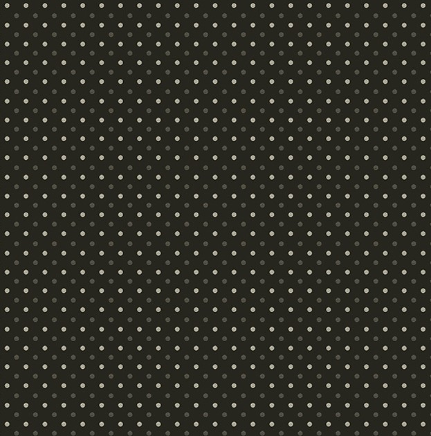 Boho Chicks Feed Black by Whistler Studios for Windham Fabrics