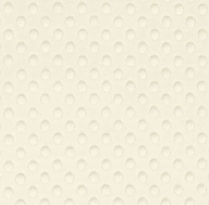 Cuddle Dimple Ivory from Shannon Fabrics