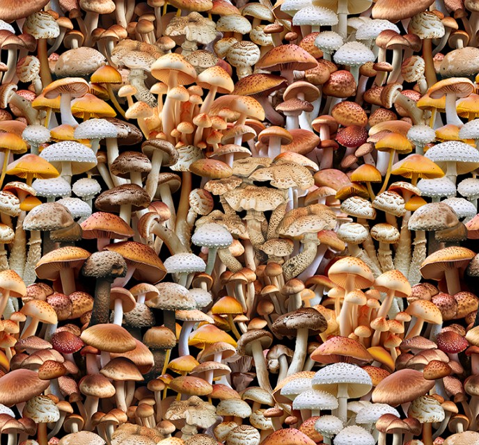 Landscapes I'm a Fungi Earth from Windham Fabrics