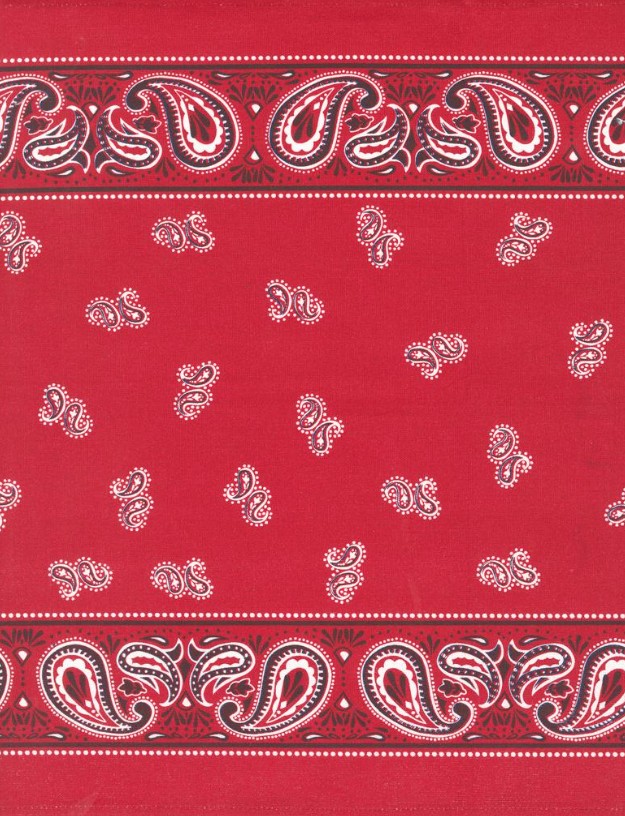 16" Classic Retro Red Bandana Toweling by Stacy Iest Hsu for Moda Fabrics