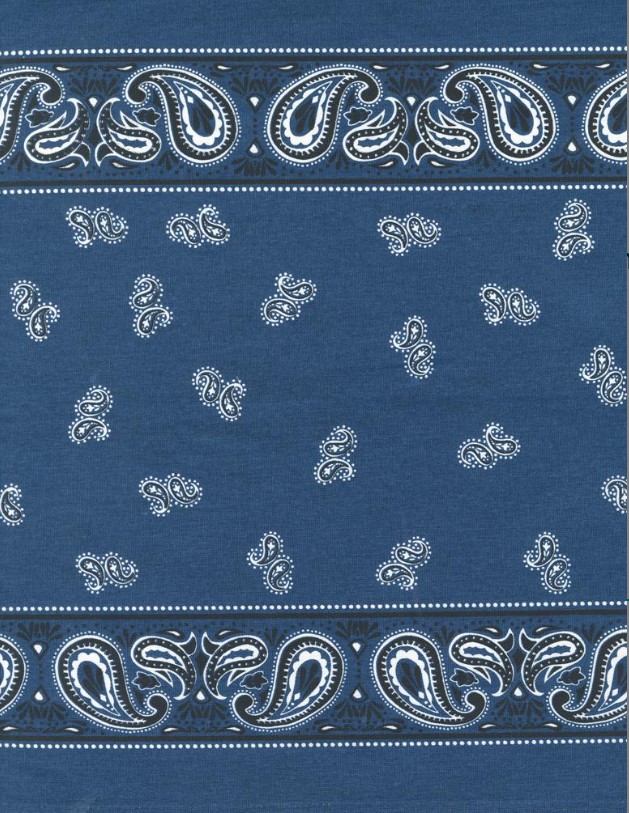 16" Classic Retro Navy Bandana Toweling by Stacy Iest Hsu for Moda Fabrics