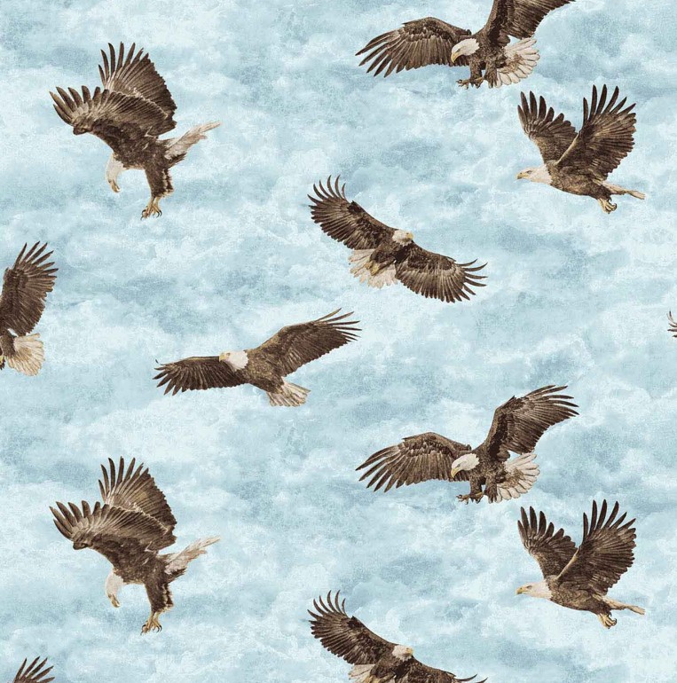 Stonehenge Eagle Pass Eagles Light Blue by Linda Ludovico for Northcott Fabrics
