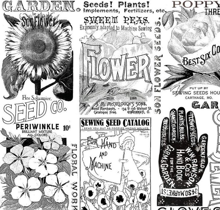 Sewing Seeds III Garden Blender White by J. Wecker Frisch for Riley Blake Designs