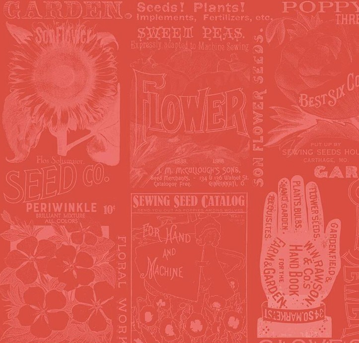 Sewing Seeds III Garden Blender Red by J. Wecker Frisch for Riley Blake Designs