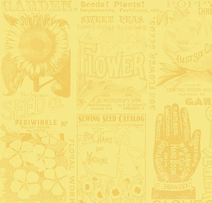 Sewing Seeds III Garden Blender Yellow by J. Wecker Frisch for Riley Blake Designs