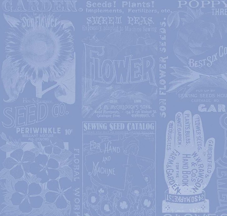 Sewing Seeds III Garden Blender Blue by J. Wecker Frisch for Riley Blake Designs