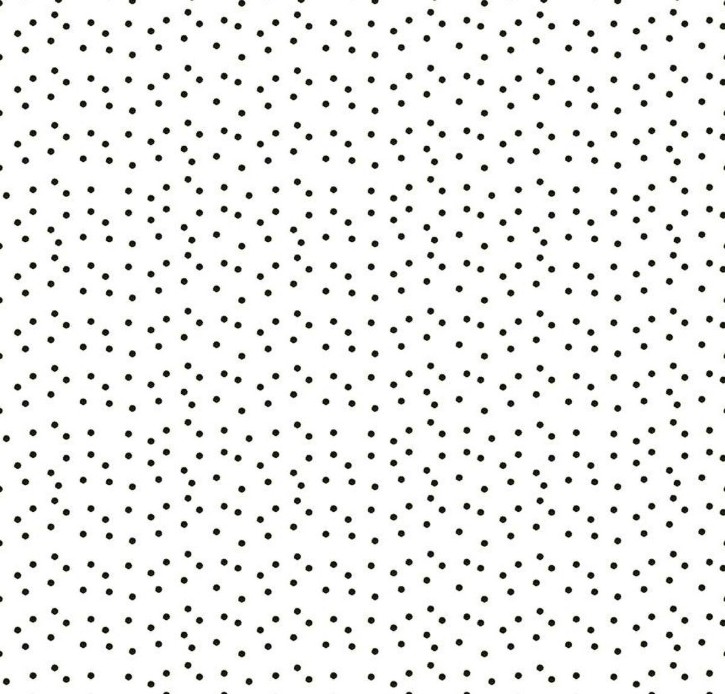Sewing Seeds III Seed Dots White by J. Wecker Frisch for Riley Blake Designs