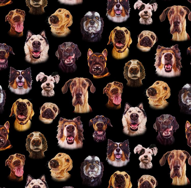 Follow Your Nose Faces Black from Elizabeth Studios