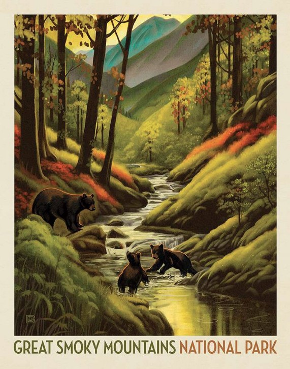 National Parks Great Smoky Mountains National Park Poster Panel by Anderson Design Group for Riley Blake Designs