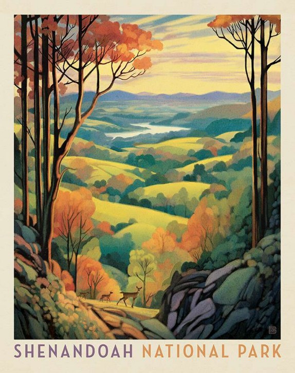 National Parks Shenandoah National Park Poster Panel by Anderson Design Group for Riley Blake Designs