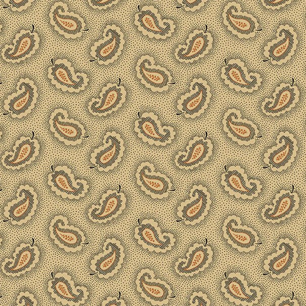 Carolina Paisley Black by Jo Morton for Andover Fabrics