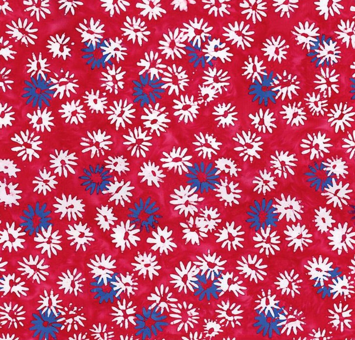 Expressions Batiks Let Freedom Reign Flowers Fireworks from Riley Blake Designs