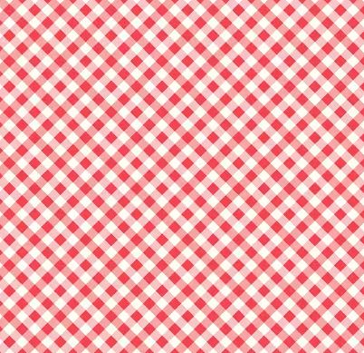 Bee Gingham Cayenne from Riley Blake