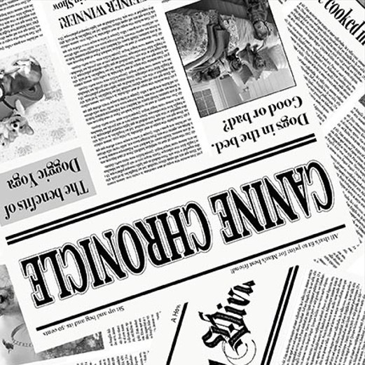 Diva Pups Newspaper White by Robert Giordano for Henry Glass Fabrics