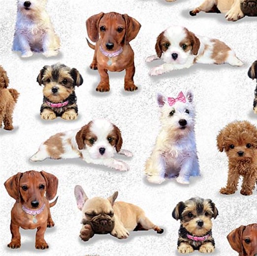 Diva Pups Puppies White by Robert Giordano for Henry Glass Fabrics