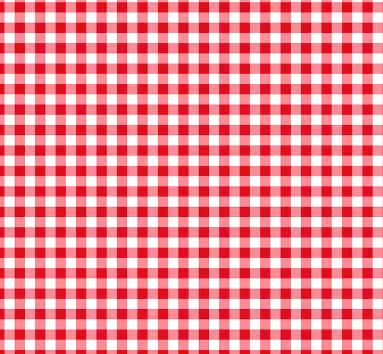Red & White Gingham from Wilmington Prints