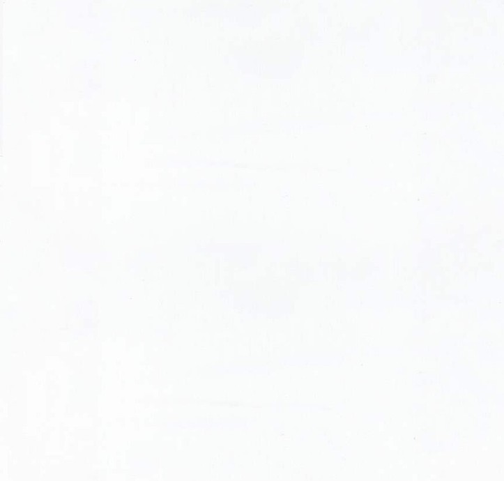 Expressions Batiks Hand-Dyes Snow White from Riley Blake Designs