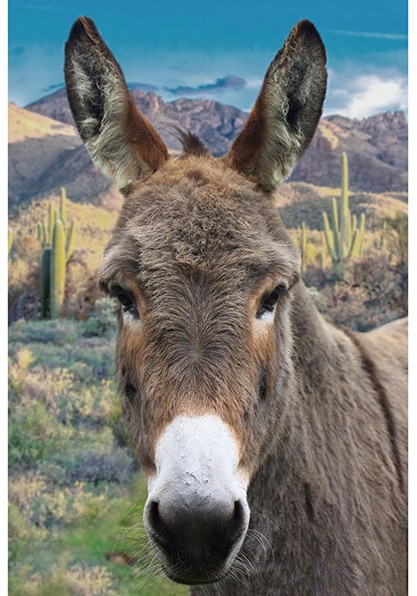 Call of the Wild Donkey Panel from Hoffman Fabrics