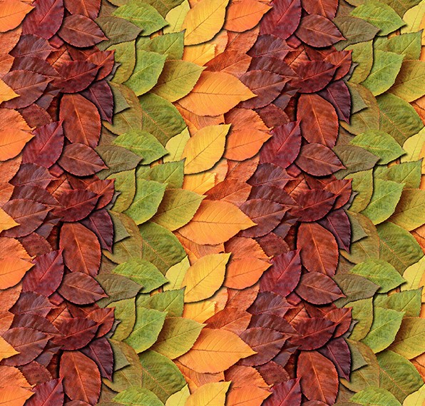 Homestead Autumn Leaves October from Hoffman Fabrics