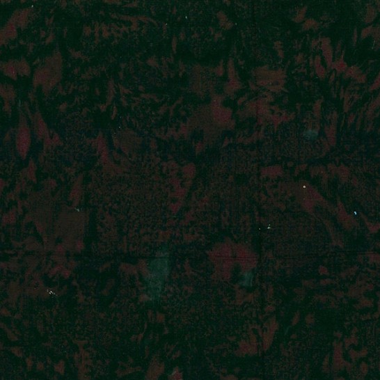 Bali Watercolors Batiks Bear from Hoffman Fabrics