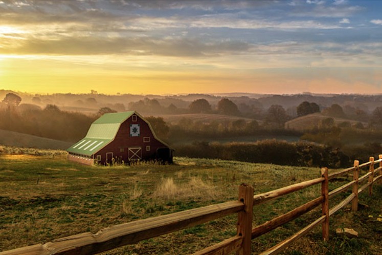 Homestead Barn Panel Oak from Hoffman Fabrics