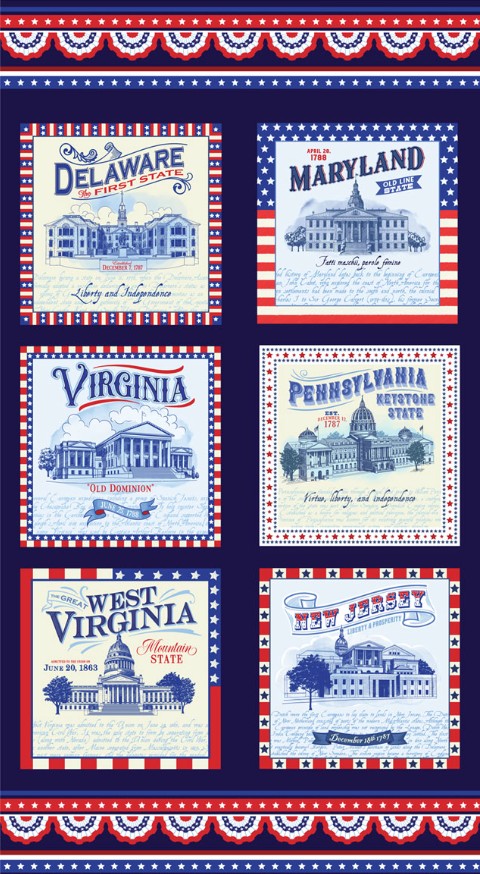 Mid-Atlantic Shop Hop 2025 Mid-Atlantic Panel Navy from Benartex