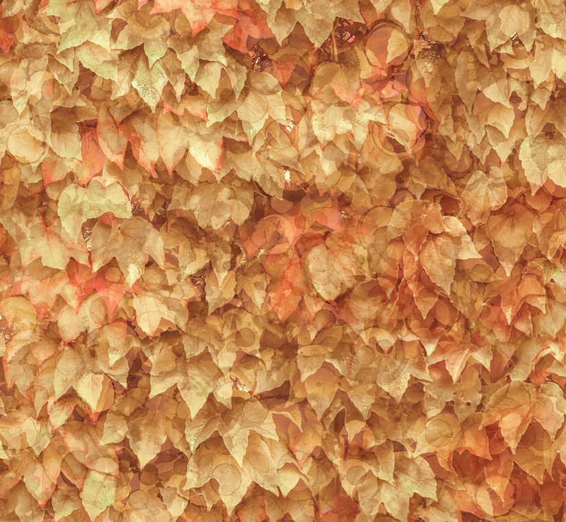 Autumn Breeze Layered Leaves Light Rust by Deborah Edwards & Melanie Samra for Northcott Fabrics