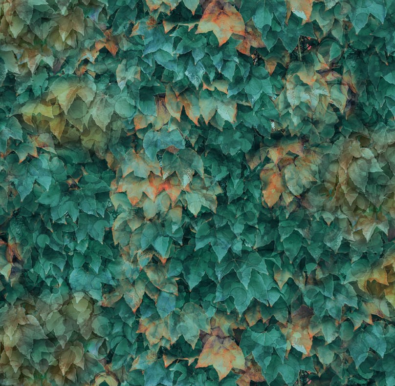 Autumn Breeze Layered Leaves Teal by Deborah Edwards & Melanie Samra for Northcott Fabrics
