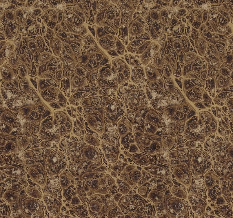 Palette Neutral Marble Neutral by Tim Holtz for FreeSpirit Fabrics