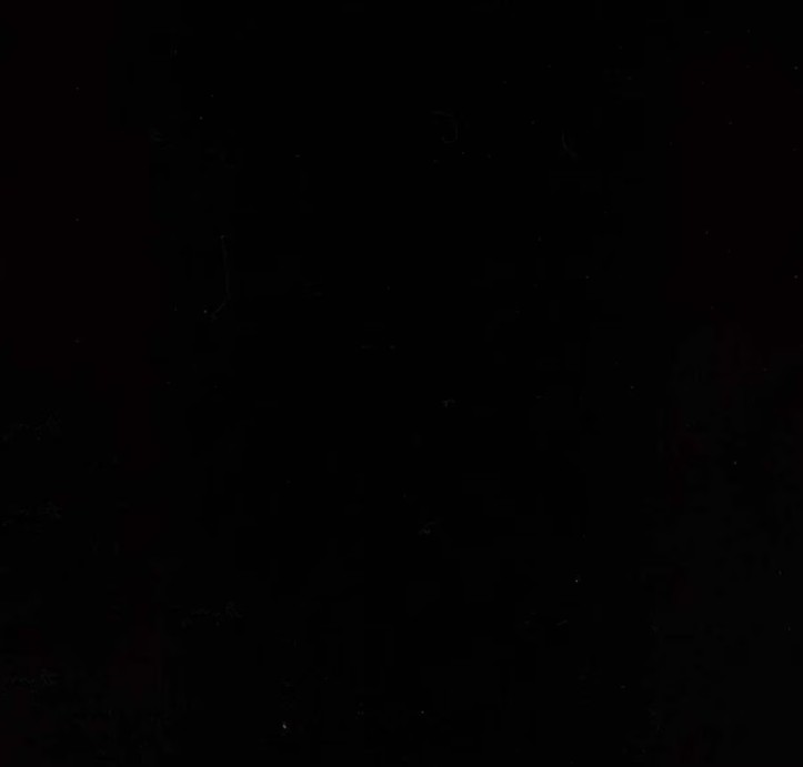 Expressions Batiks Hand-Dyes Raven from Riley Blake Designs