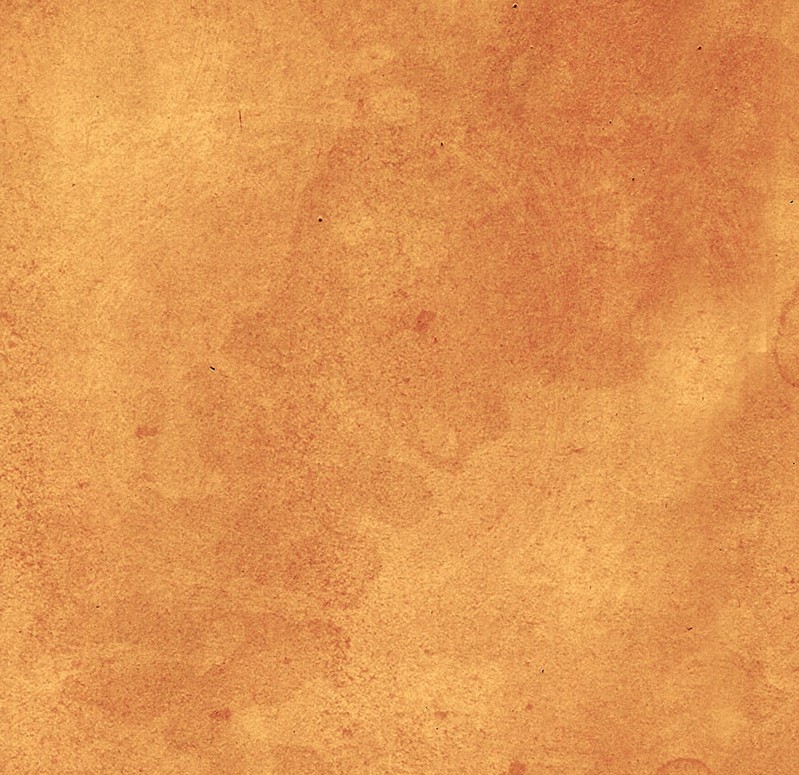 Palette Orange Vintage Orange by Tim Holtz for FreeSpirit Fabrics