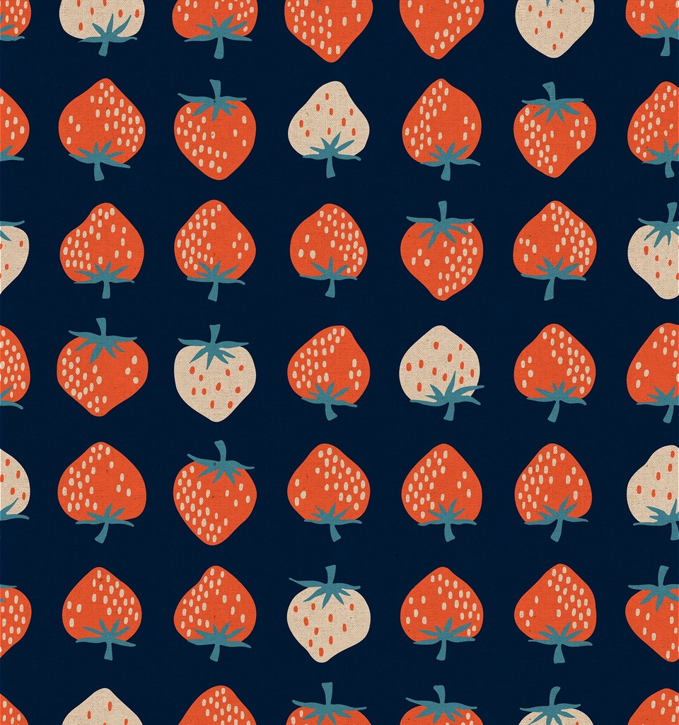 Strawberry Navy Canvas  by Ruby Star Society