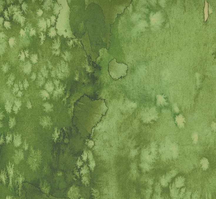 Flow Basics Watercolor Fern by Create Joy Project for Moda Fabrics