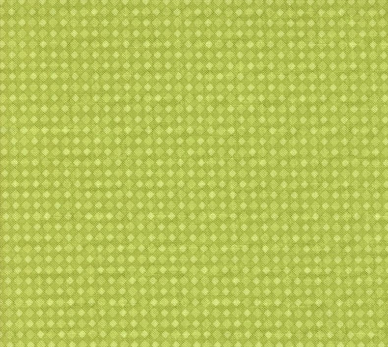 Fab Boo Lous Spooky Gingham Green Slime by Me and My Sister Designs for Moda Fabrics