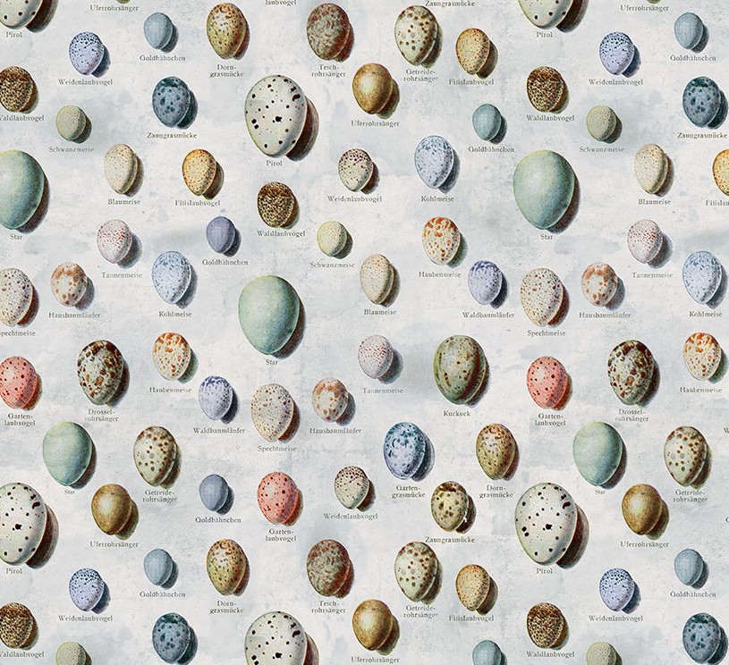 Palette Blue Eggs Blue by Tim Holtz for FreeSpirit Fabrics
