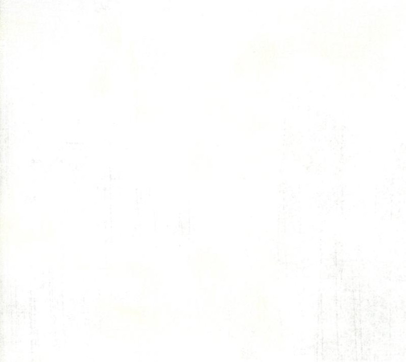 108" Grunge White Paper by BasicGrey for Moda Fabrics