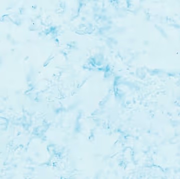 Bali Watercolors Montego Batik From Hoffman