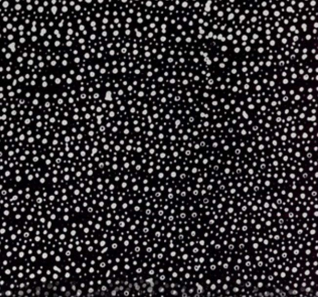 Oreo Bali Dots Batik from Hoffman