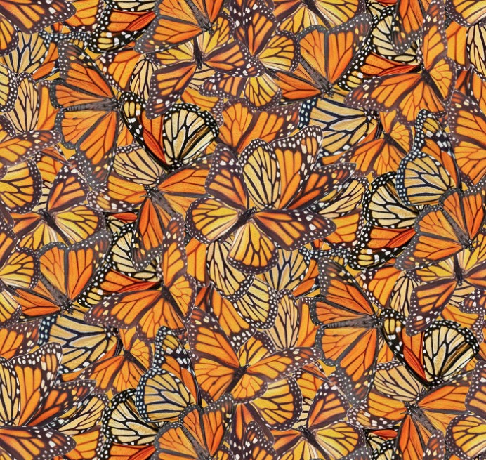 Mariposa Masterpiece Monarch by Hoffman