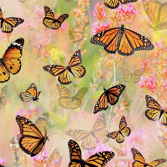 Mariposa Masterpiece Mariposa by Hoffman