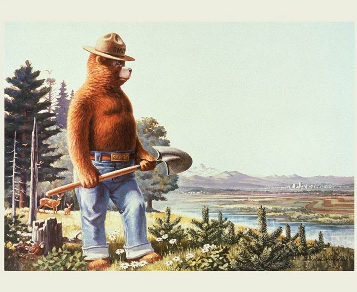 Friends of Smokey Bear Wilderness Panel from Riley Blake Designs