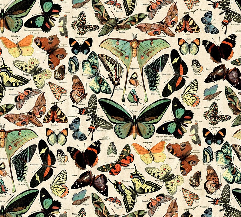 Palette Teal Butterflies Teal by Tim Holtz for Freespirit Fabrics