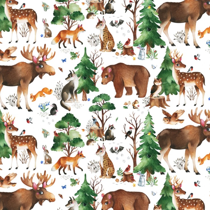 Who Lives in the Woods Woodland Animals White from Elizabeth Studios