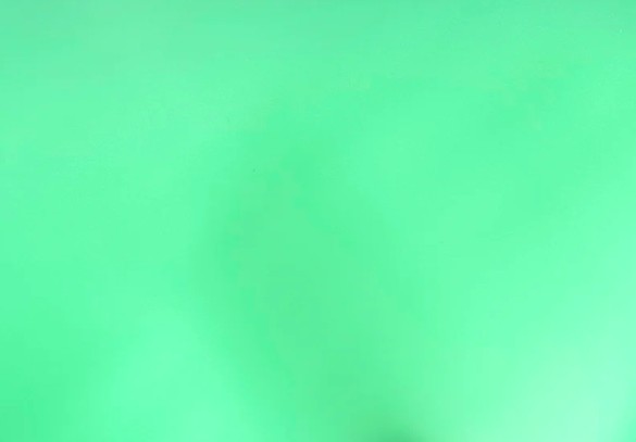 Green Jelly Vinyl from Sassafras Lane Designs