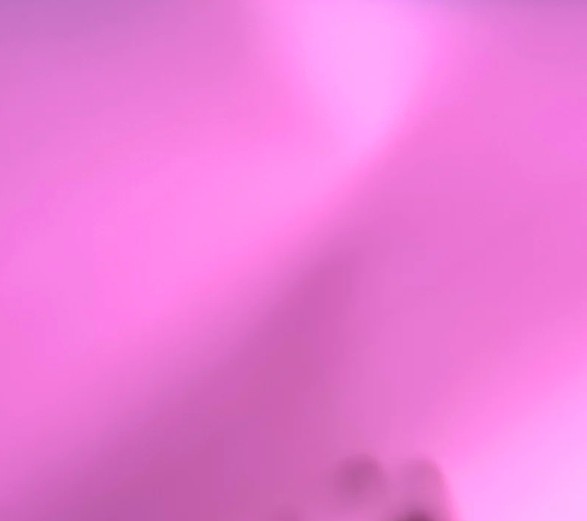 Purple Jelly Vinyl from Sassafras Lane Designs