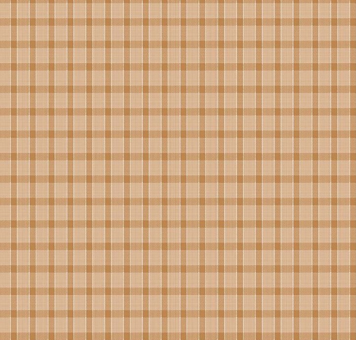 Gentler Times Whippersnapper Cider by Lori Holt for Riley Blake Designs