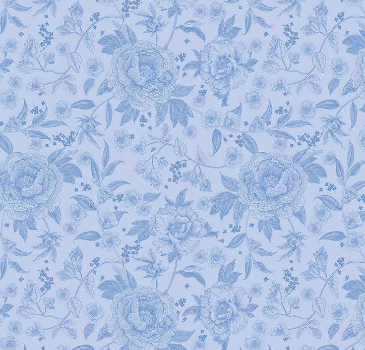 Penelope Main Sky by My Mind's Eye for Riley Blake Designs